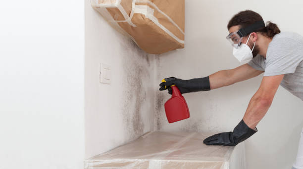 Professional Bathroom Mold Removal technician working in Rogers, TX