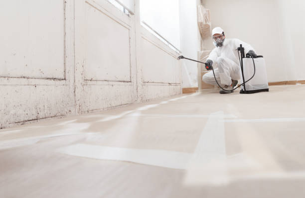 24/7 Emergency Bathroom Mold Removal experts in Rogers, TX