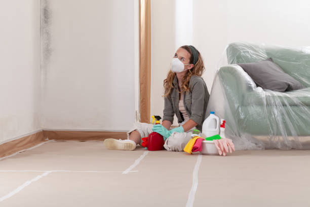 Reliable Bathroom Mold Removal contractor in Rogers, TX by WQB Mold Removal